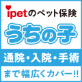 ペット保険・動物保険はアイペット