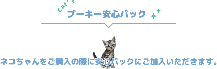 プーキーの安心パック　ネコちゃんをご購入の際に安心パックにご加入いただきます。