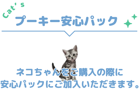 プーキーの安心パック　ネコちゃんをご購入の際に安心パックにご加入いただきます。