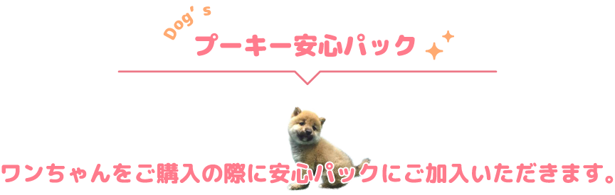 プーキーの安心パック　ワンちゃんをご購入の際に安心パックにご加入いただきます。